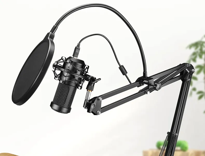 do you need a pop filter