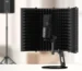Microphone Isolation Shield - Does It Really Make a Difference?
