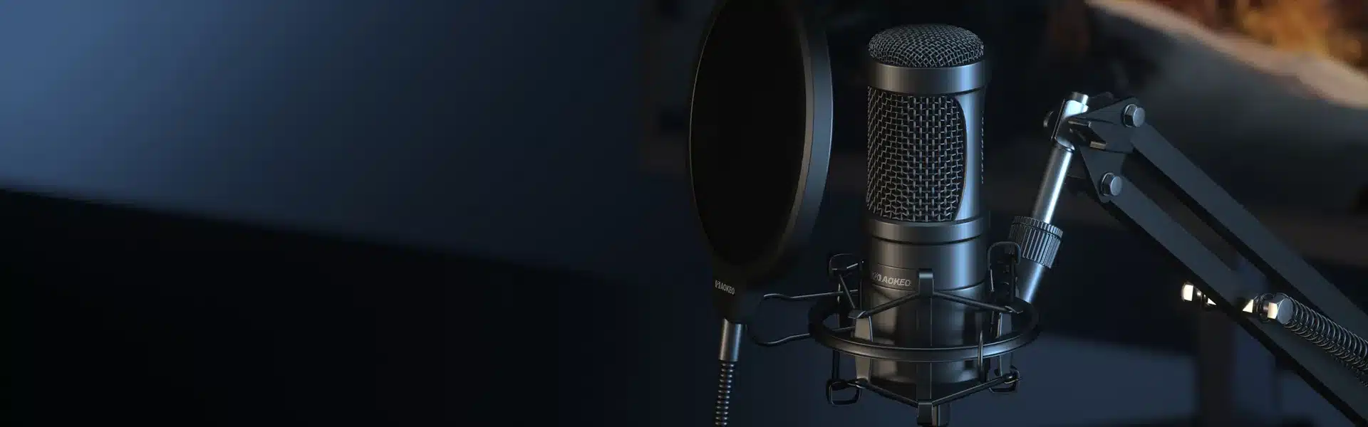 What Does a Pop Filter Do? Do You Actually Need a Pop Filter?